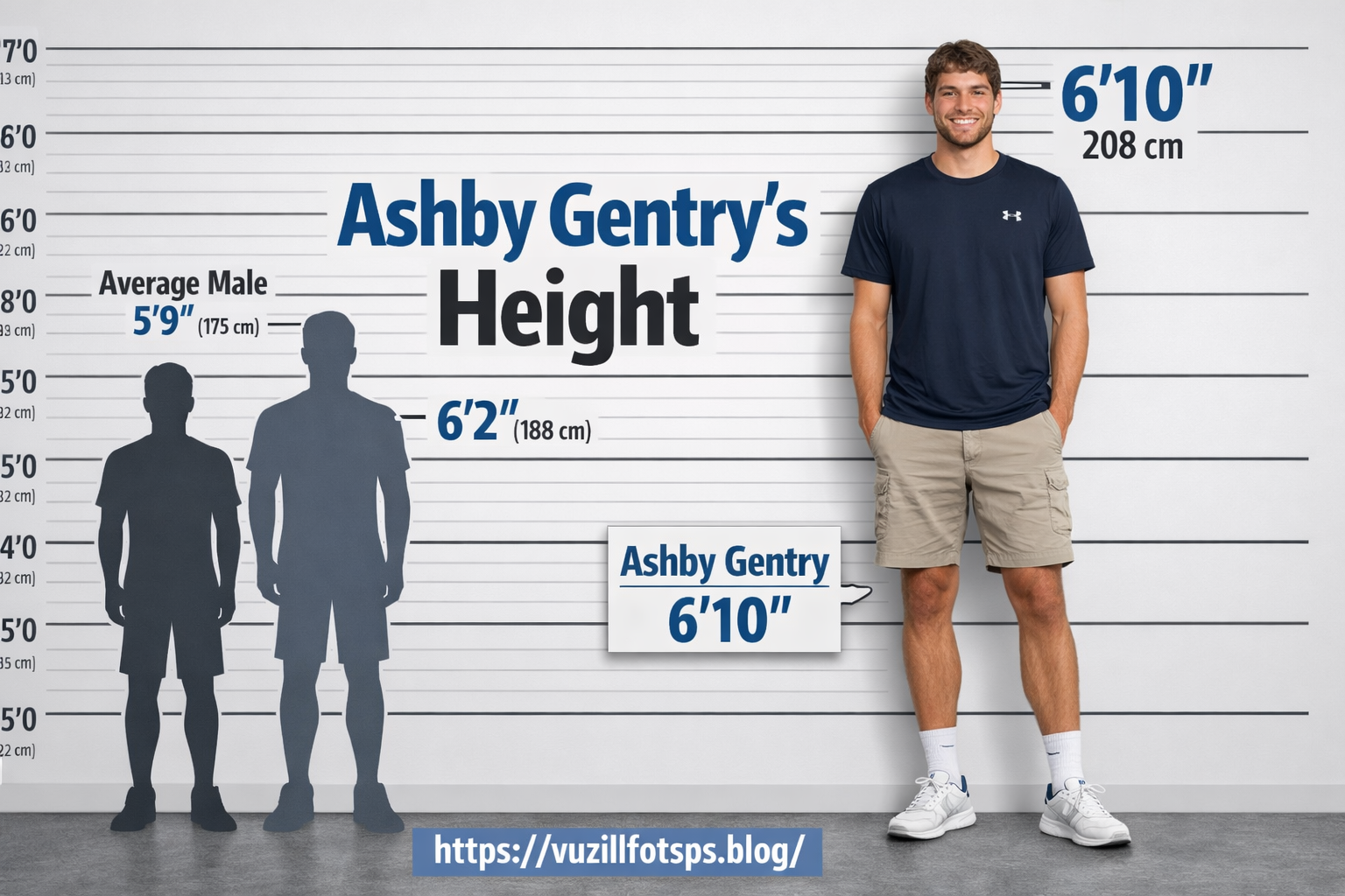 ashby gentry height